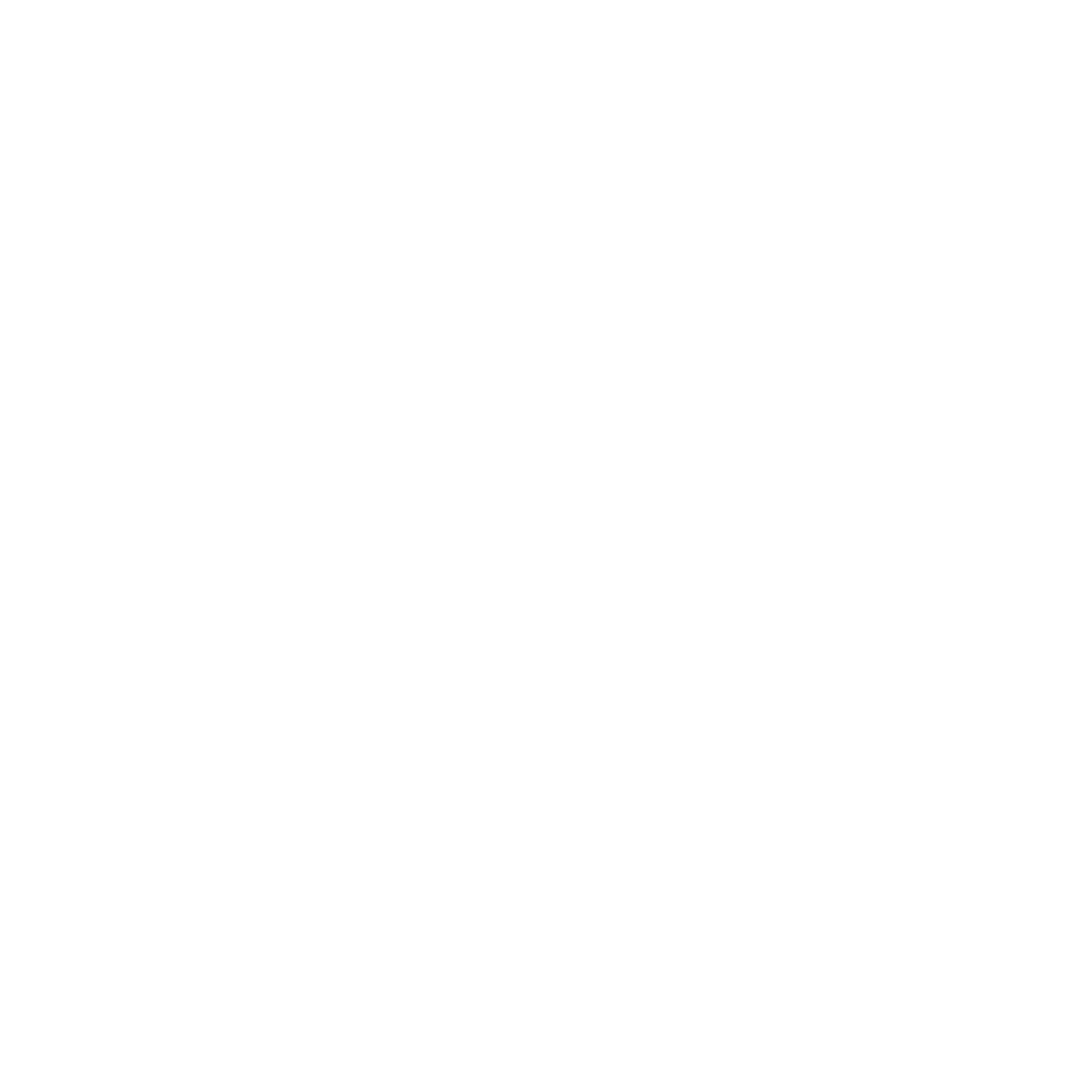 logo snap footer1